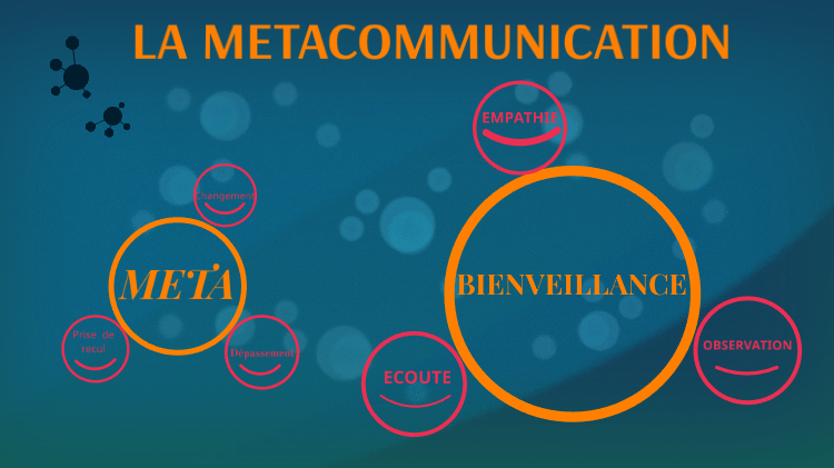 Image concernant les caractéristiques de la Métacommunication